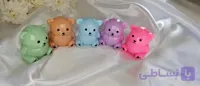بالم لب خرسی