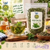 نعنا خشک 100گرمی اعلا نورا فود