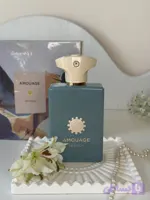 ادکلن مستر کوالیتی AMOUAGE Search حجم 100 میل