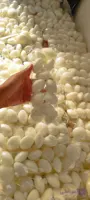 شمع رو ابی بسته 100 عددی قطر 4