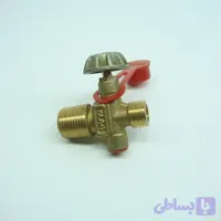 شیر پیک نیک 2 کیلویی پرسی