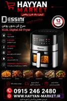 سرخ کن بدون روغن دسینی ۱۰ لیتر مدل DS-819DW