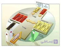 اسلاید و پادکست های تریاژ در بلایا و حوادث با مصدومین انبوه(Triage in Disasters and MCI)