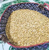بادام زمینی مخصوص کره گیری ۱۰ کیلویی سوپر ممتاز – ویژه عطاری و کافه