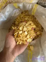 چیپس سیر درجه یک همدان