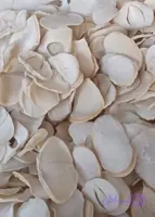 موسیر پلاکی درجه ۱