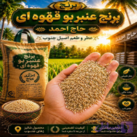 برنج عنبربو قهوه ای ( 10 کیلویی )