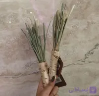 اسباب بازی هویج جویدنیhappy bunny