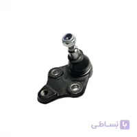 سیبک طبق شاهین برند EMA