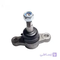 سیبک طبق آزرا برند EMA