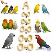 اتل پای پرندگان