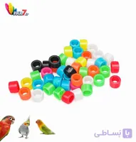 حلقه پا ، عروس هلندی، برزیلی ، گرینچیک