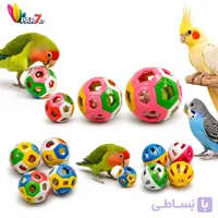 توپ بازی طوطی