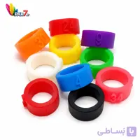 حلقه نرمه کبوتری