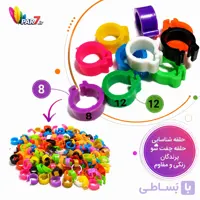 حلقه چفت شو