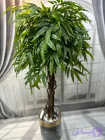 درختچه مصنوعی آمستل ارتفاع ۱۷۰ چرم لمسی وارداتی. با ظاهر طبیعی. ارسال فوری