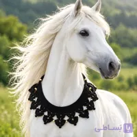 گردنبند زینتی اسب  قلابافی بند تنظیم کننده در دو رنگ مشکی و سفید رنگ مشکی