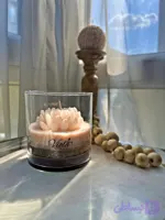 جار گل داوودی جاودان