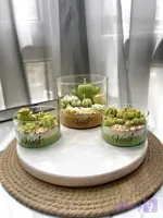 مینی جار کاکتوس سه لایه