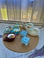 صدف ژله ای دریایی