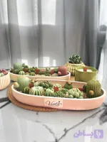 باغچه بتنی کاکتوس شمعی