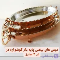 دیس بیضی پایه کوتاه گوشواره دار سایز 3 .بزرگ. (یک عددی) ارتفاع 9 طول 44 مناسب انواع مصارف