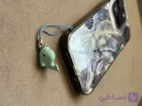 چارم گوشی نهنگ