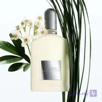 عطر مردانه تام فورد مدل گری رتیور با رایحه خنک و تلخ