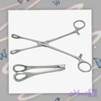 پنس جفت 24 سانتی درجه یک پاکستانی