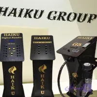 دستگاه لاغری و عضله ساز فارادیک 10 کانال هایکو (Haiku)