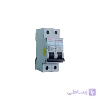 کلید مینیاتوری تیپ B,C مدل NS01-2P