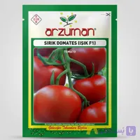 بذر گوجه فرنگی گلخانه ای آرزومان پاکت 10 عددی
