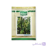 بذر خیار گالاردو گلخانه ای پرگل پاکت 500 عددی