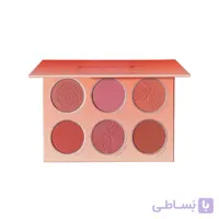 پالت رژگونه  FLORAL FLUSH رنگ Cottage Core Garden  شیگلم  (اورجینال)