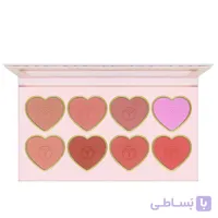 پالت رژگونه فیوچر میکاپ FU7301