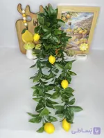 بوته لیمو سبز گره‌دار؛ شاخه دکوراتیو ۵ بازو برای آشپزخانه