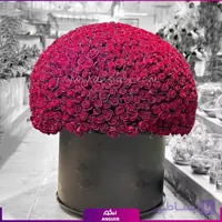 باکس گل رز هزار دلیل برای دوست داشتن (1000 شاخه)