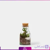 تراریوم با شیشه سه وجهی گردن دار