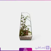 تراریوم رویال