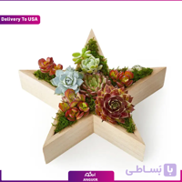 Shining Star (تحویل در امریکا)