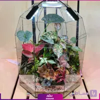 تراریوم بزرگ چندبعدی