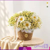 سبد گل ژربرا و بابونه (تحویل در تهران و سراسر ایران)