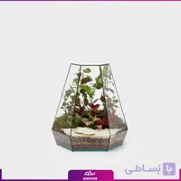 تراریوم پنج ضلعی