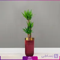 گلدان فلزی با روکش مخمل رنگ زرشکی همراه با یوکا سه شاخه بزرگ