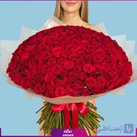 دسته گل بزرگ رز قرمز هلندی – ۲۰۰ شاخه