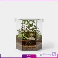 تراریوم شش ضلعی در دار