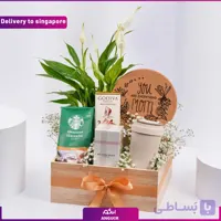 باکس کیک و گل (تحویل در سنگاپور)