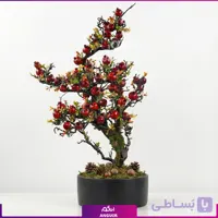 درختچه بونسای انار یلدایی طرح سبک