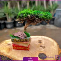 گیاه بونسای (مدل کتابی سوپر)