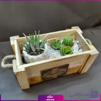 جعبه گل به همراه شمع گیاهی